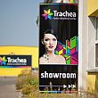 Showroom Trachea